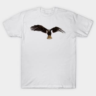 American bald Eagle T-Shirt